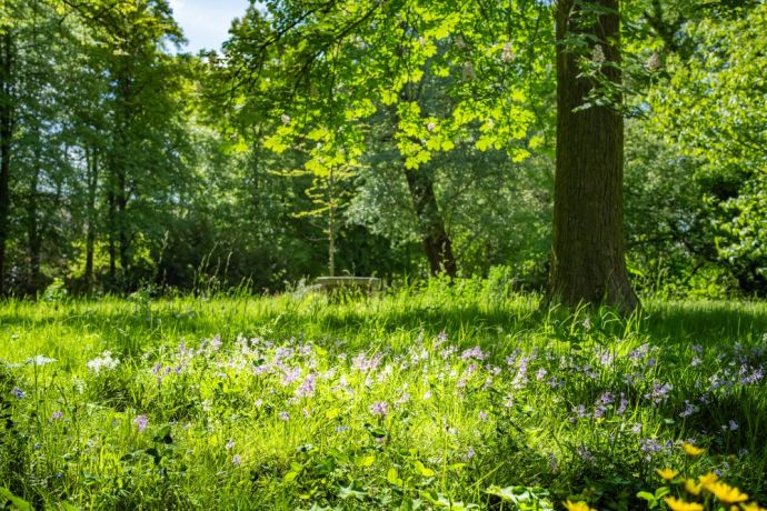 Britzer_Fruehling-010.jpg
