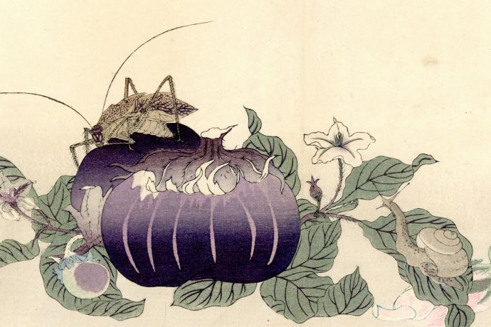 Utamaro_MushiruiGafu_1892 (12) (002) Ausschnitt.jpg