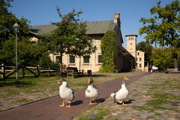 Tierfotos Britz 09 2021 (c) Tanja Schnitzler (50)klein.jpg